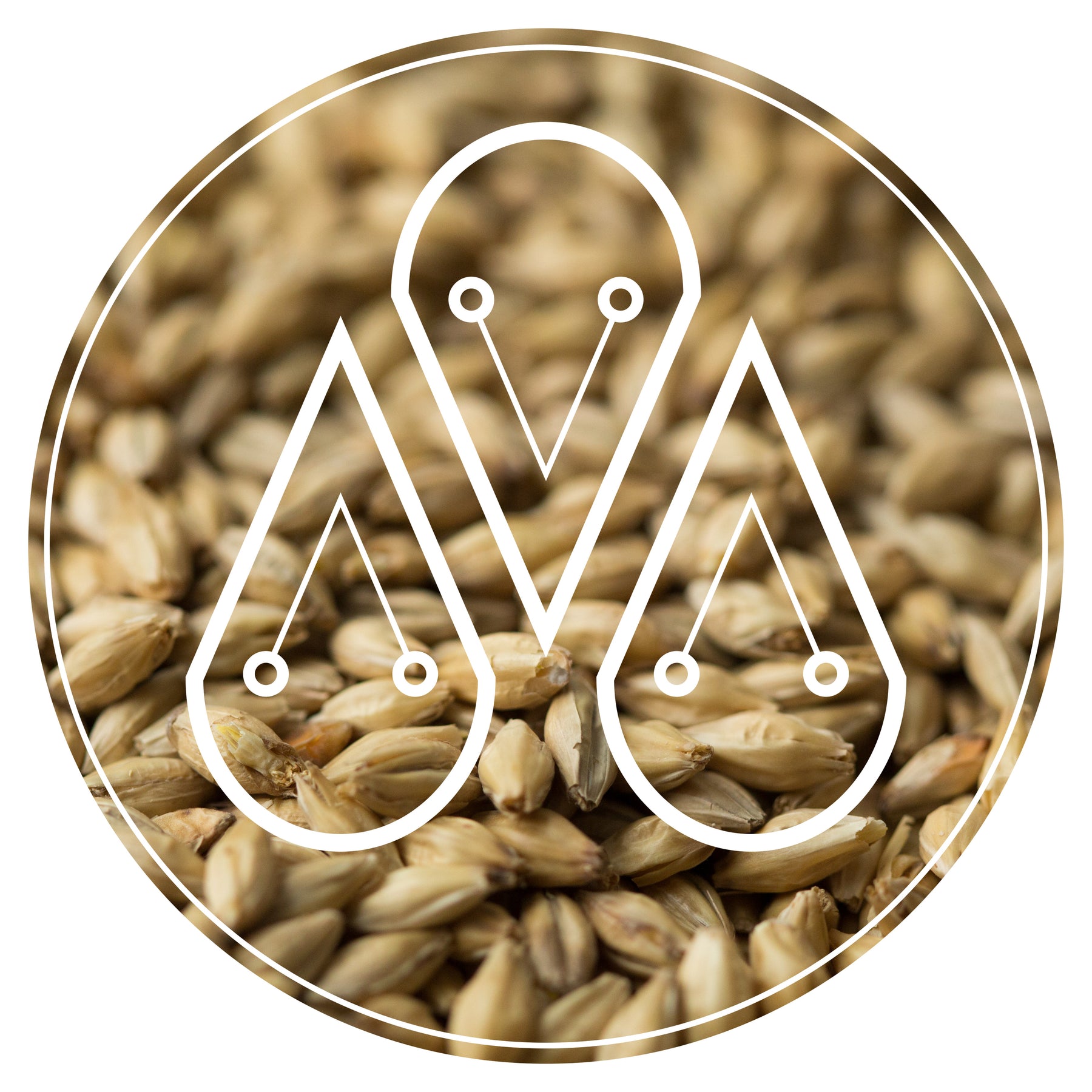 Distillers Malt