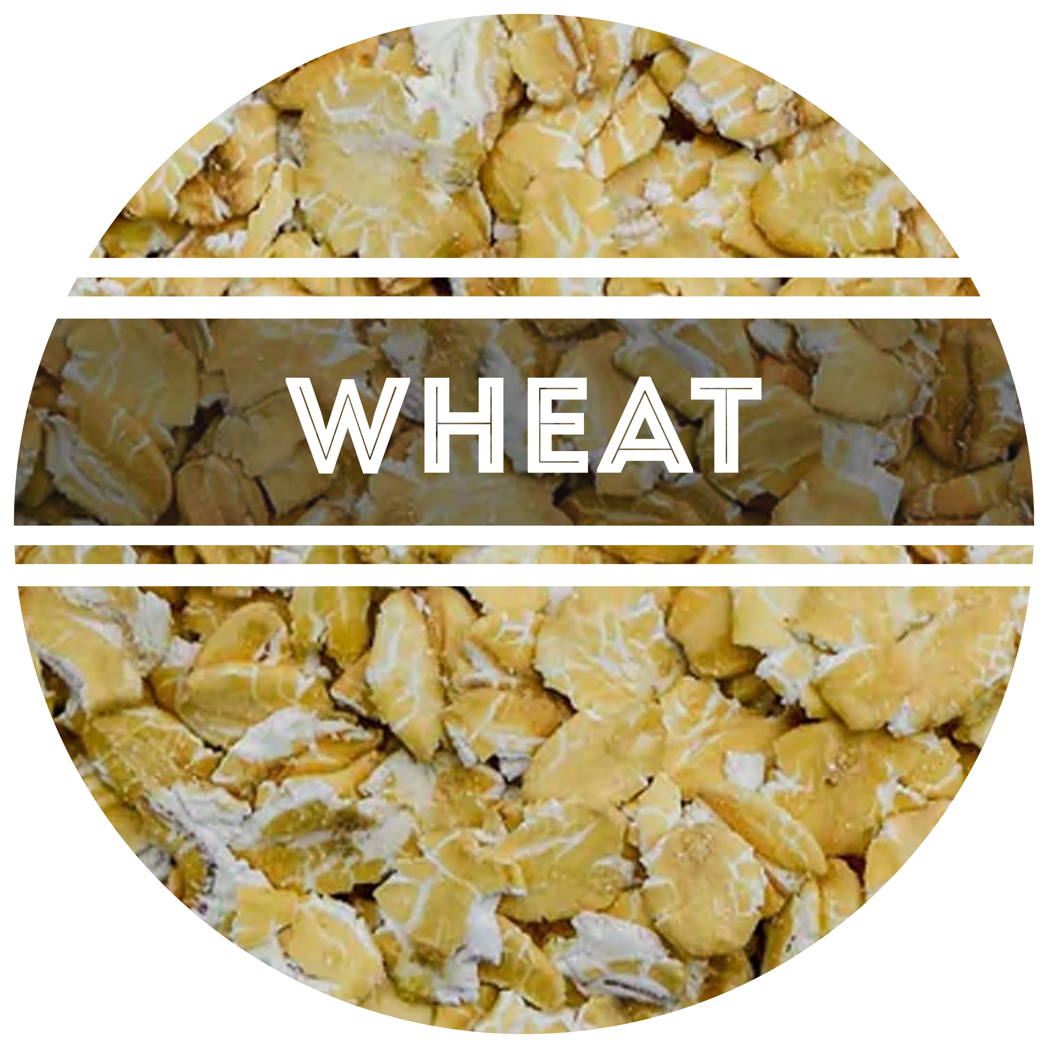 Flaked, UnMalted Wheat