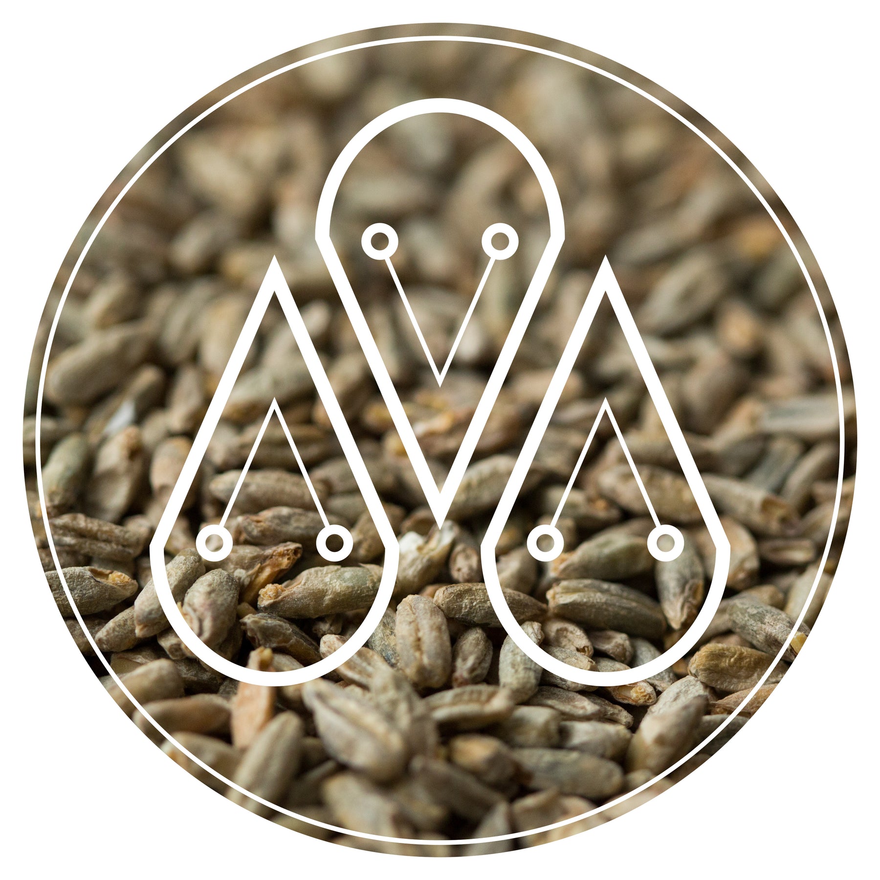 Malted Rye