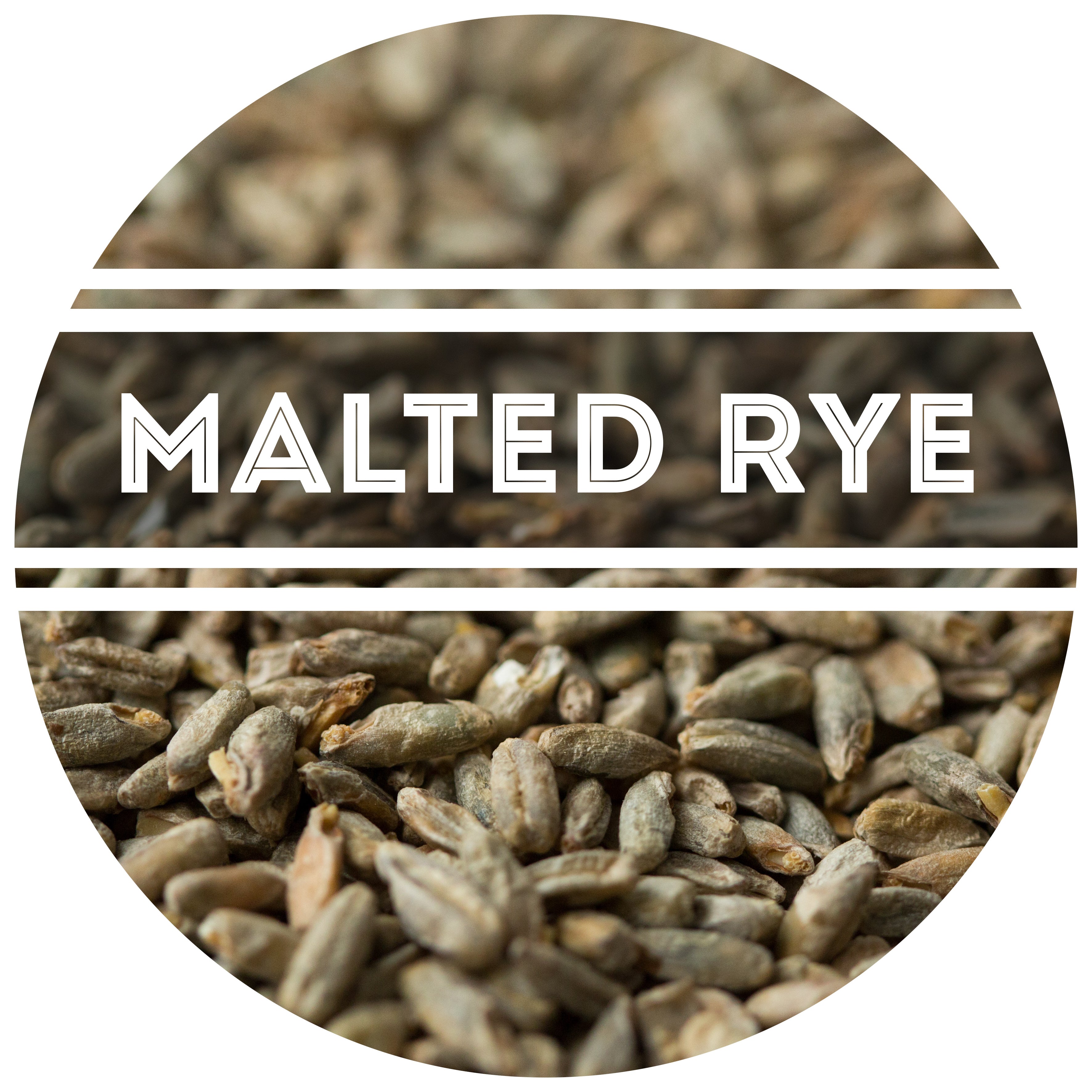 Malted Rye