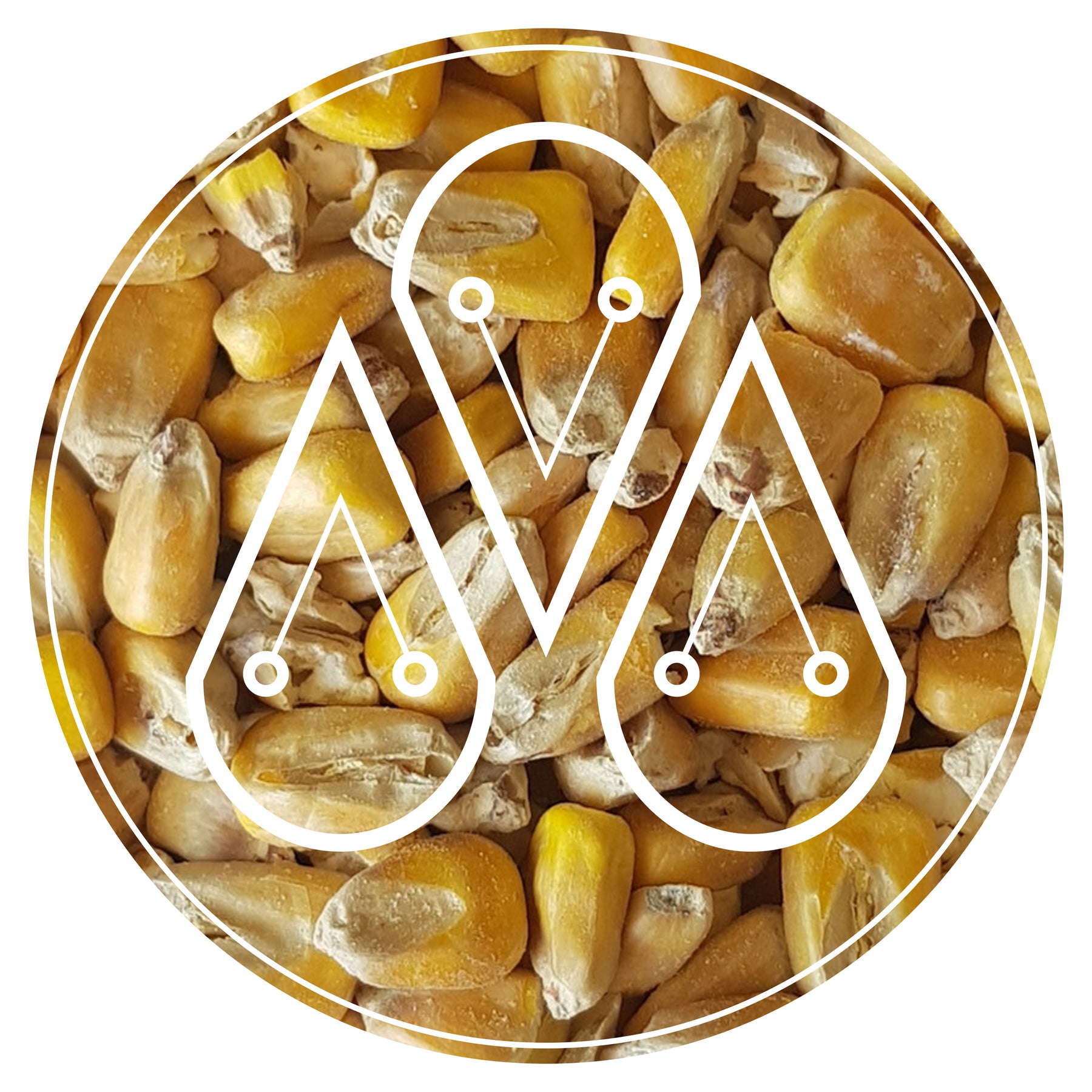 Malted Maize (Corn)