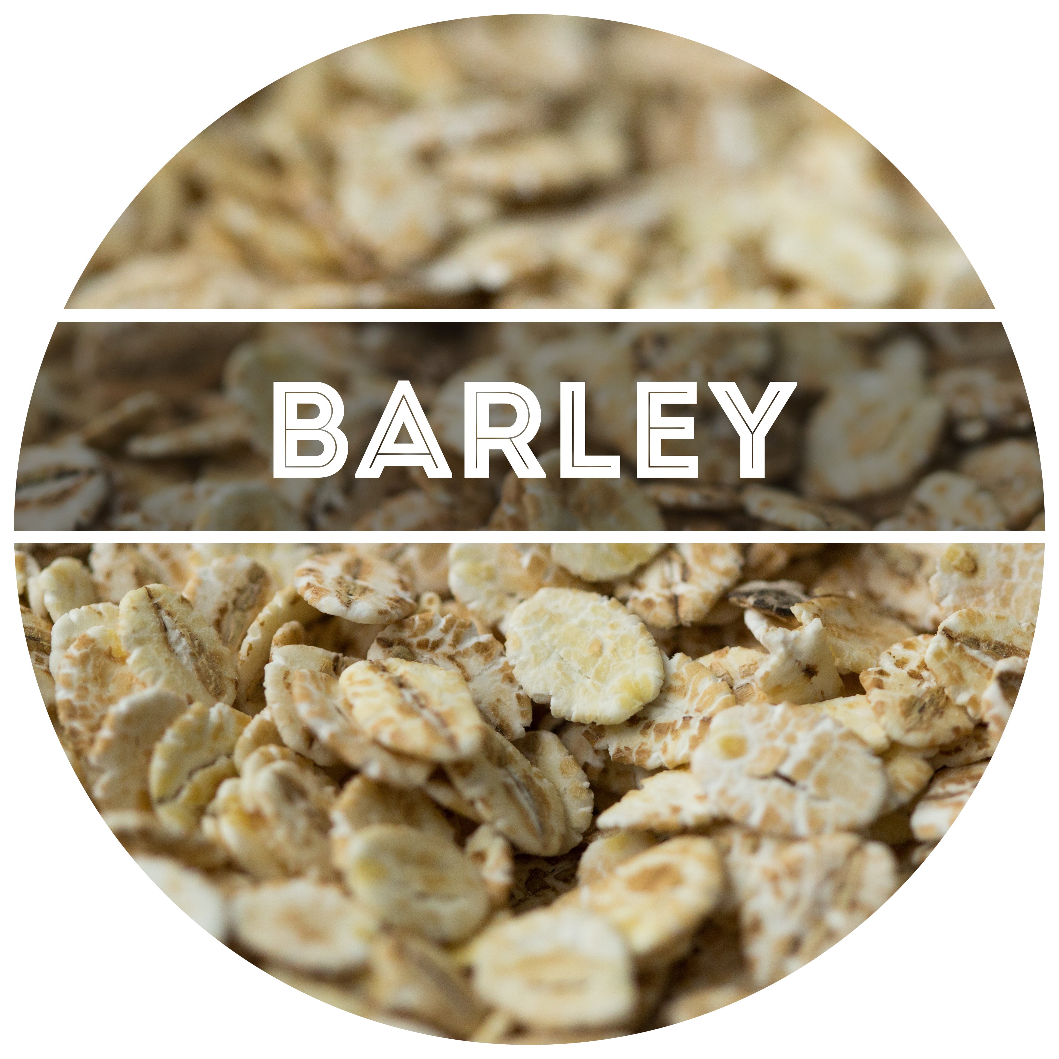 Flaked, Un-Malted Barley