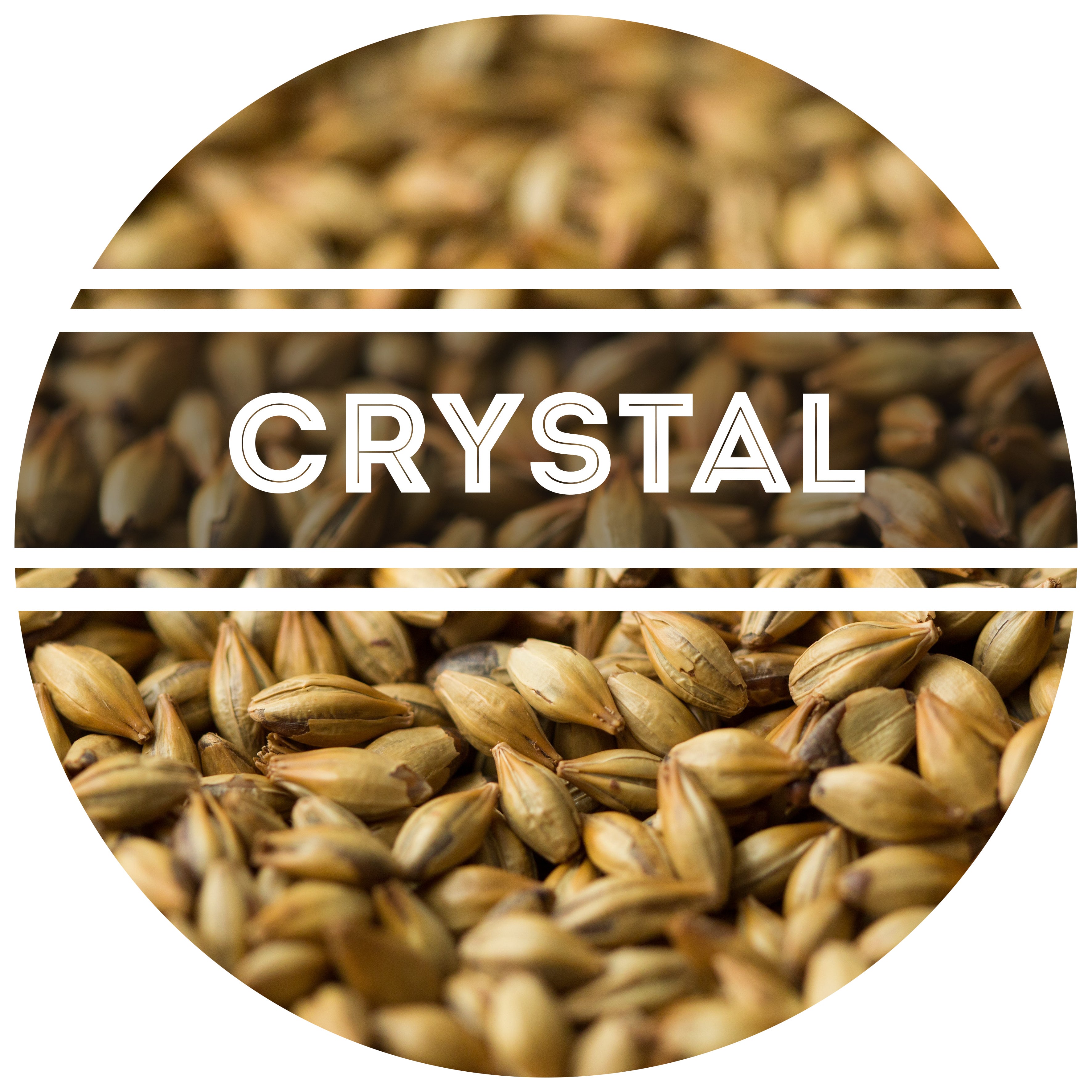 Medium Crystal Malt