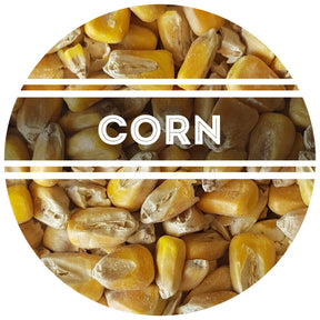 Malted Maize (Corn)
